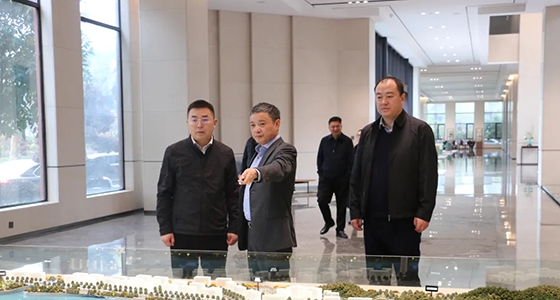 丽水市政府副秘书长王永国一行调研乐宝体育集团